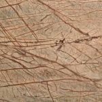 Krtacen kamen marmor Rainforest Brown